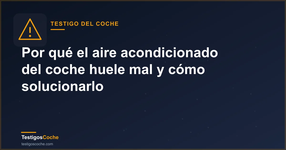 Por qué el aire acondicionado del coche huele mal y cómo solucionarlo