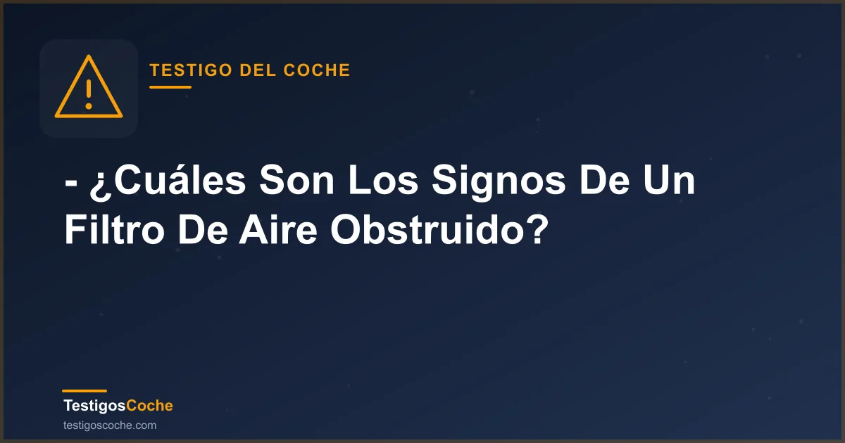 - ¿Cuáles Son Los Signos De Un Filtro De Aire Obstruido?