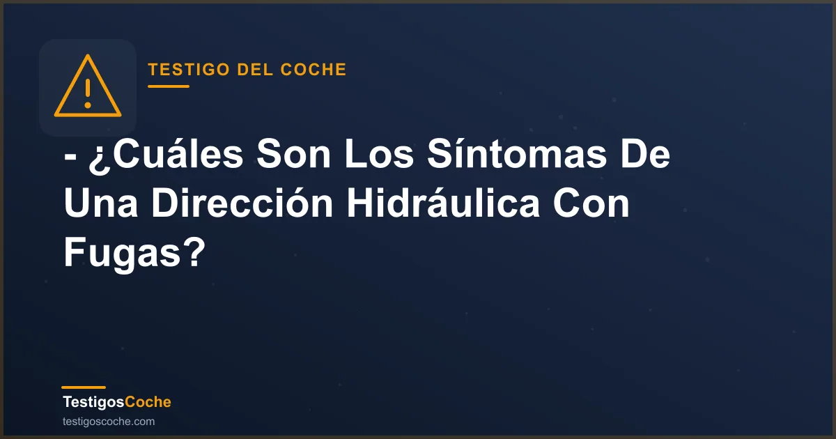 - ¿Cuáles Son Los Síntomas De Una Dirección Hidráulica Con Fugas?