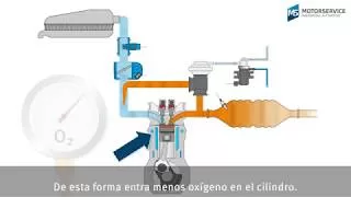 209. Desgaste Del Sistema De Recirculación De Gases De Escape (EGR)