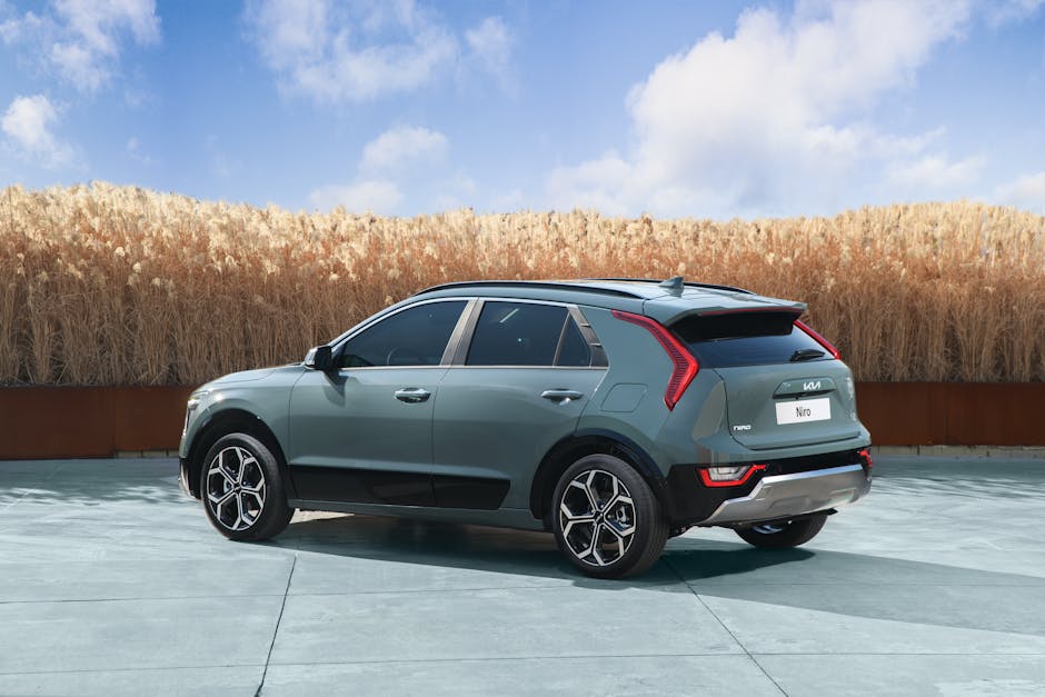 Testigos Kia Niro EV 2022: Significado y Soluciones