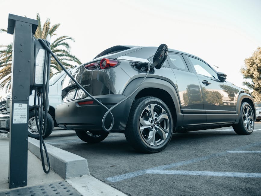 Testigos del MG ZS EV 2022: guia completa del SUV electrico