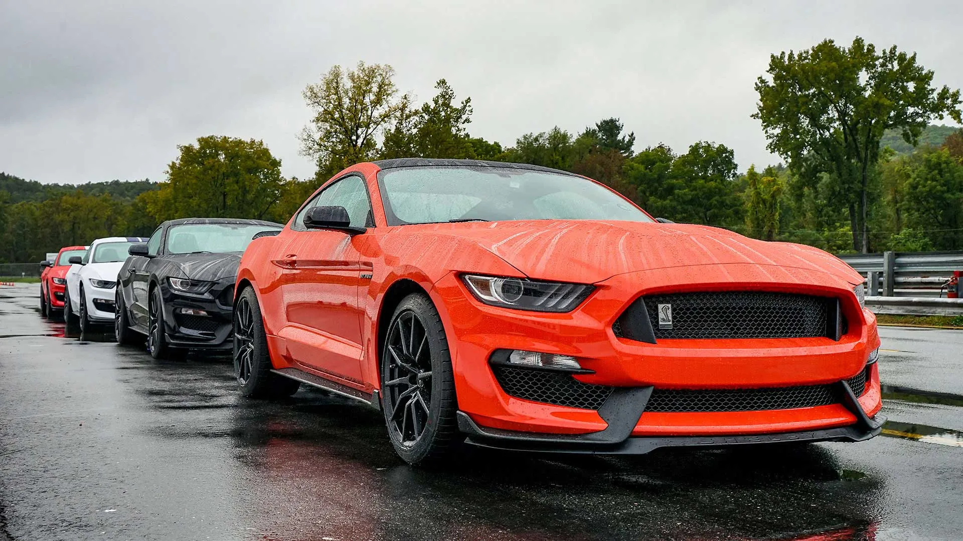 Descubre la impactante belleza del Parque Lime Rock en días de lluvia