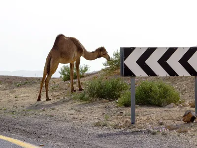Descubre la impresionante carretera que conduce a una planta nuclear en Israel